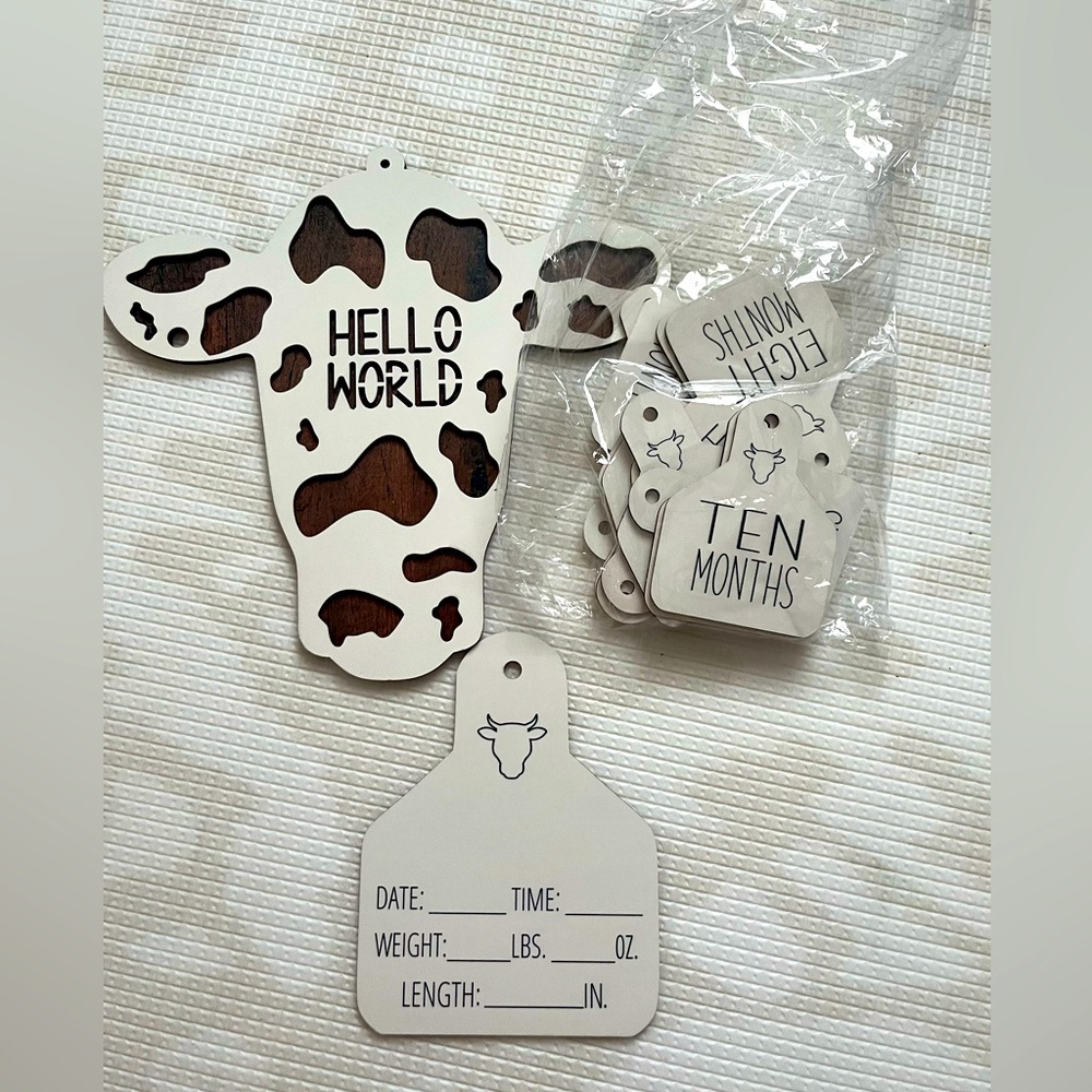Newborn Monthly Milestone Tags